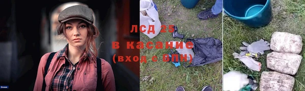 СК Козловка