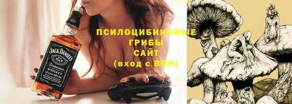 СК Козловка