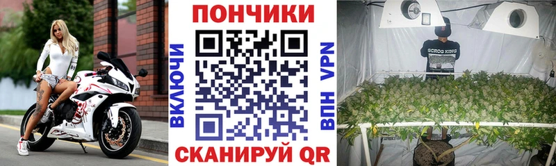 Марихуана план  Купить где  Самара 